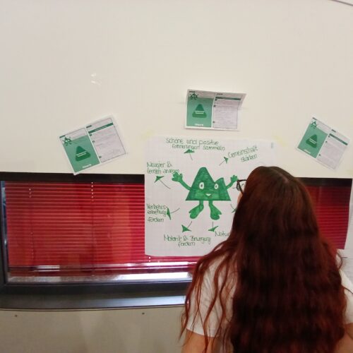 Ergebnisse der Gruppenarbeit zur Lernfreundin Natur-Alina. Frau steht vor Wand und schaut sich Ergebnisse auf einem Plakat an.
